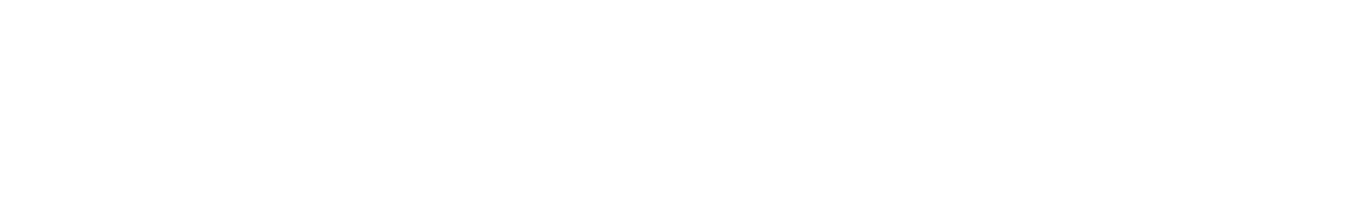 新たなソリューション